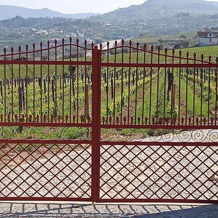 Quinta Do Passadico Villa Lamego Buitenkant foto