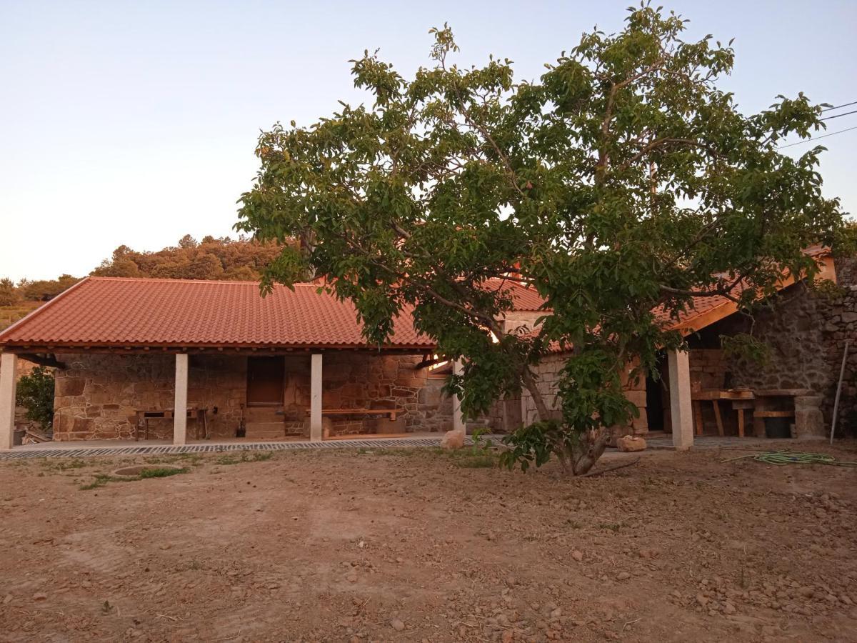 Quinta Do Passadico Villa Lamego Buitenkant foto