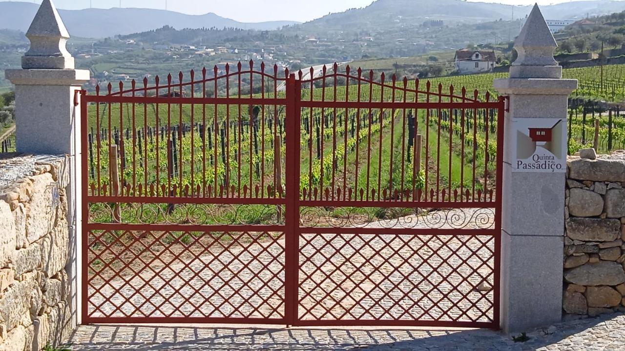 Quinta Do Passadico Villa Lamego Buitenkant foto