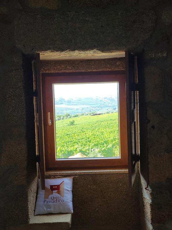 Quinta Do Passadico Villa Lamego Buitenkant foto
