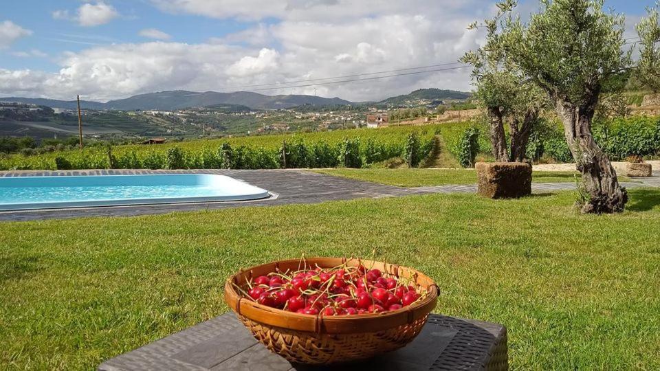 Quinta Do Passadico Villa Lamego Buitenkant foto
